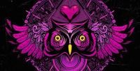 Eric Prydz & Firebeatz - Night Owl Radio 061 - 24 October 2016