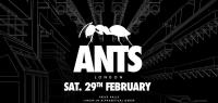 Andrea Oliva - Live at ANTS Printworks, London - 29 February 2020