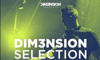 DIM3NSION - DIM3NSION Selection 498